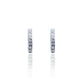 Silver Earrings with zircon 
