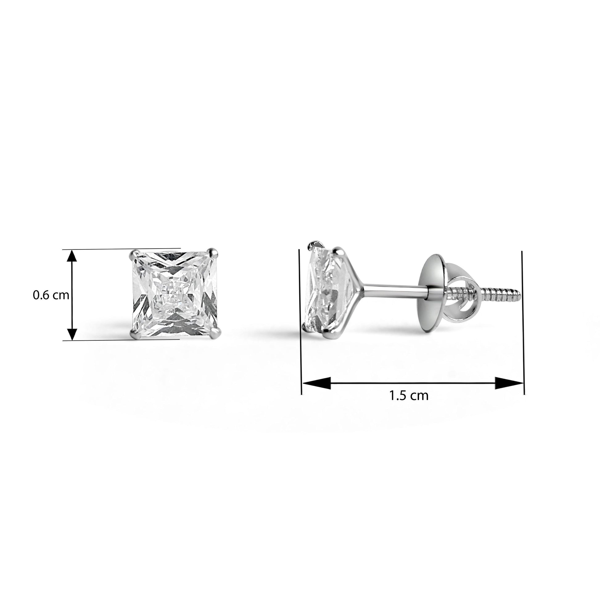 Dimensional Image for Silver Earrings 
